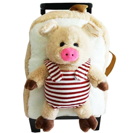 Путешественник