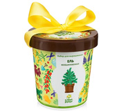 Вырасти Ель